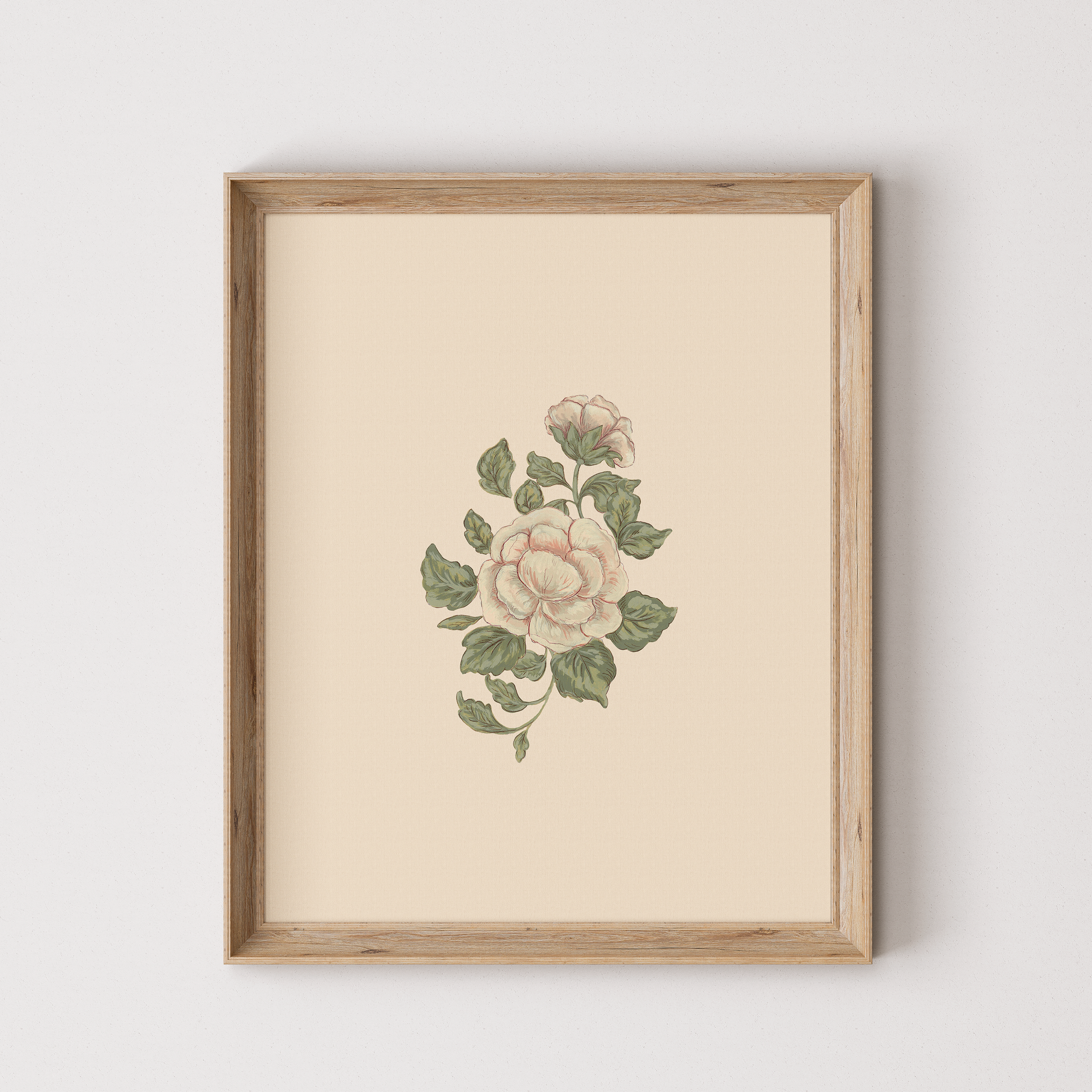 Hydrangea lamb