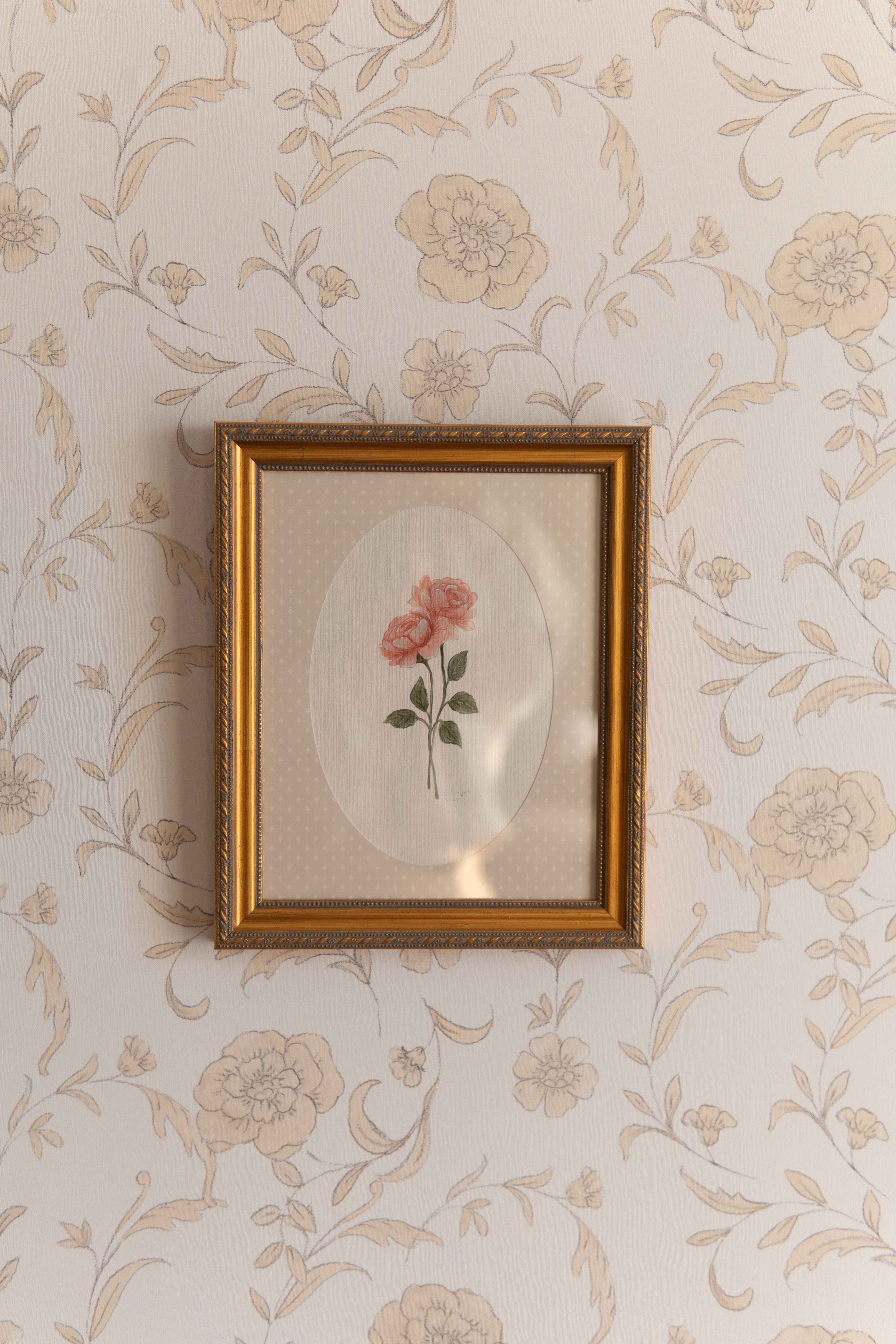 Hydrangea lamb