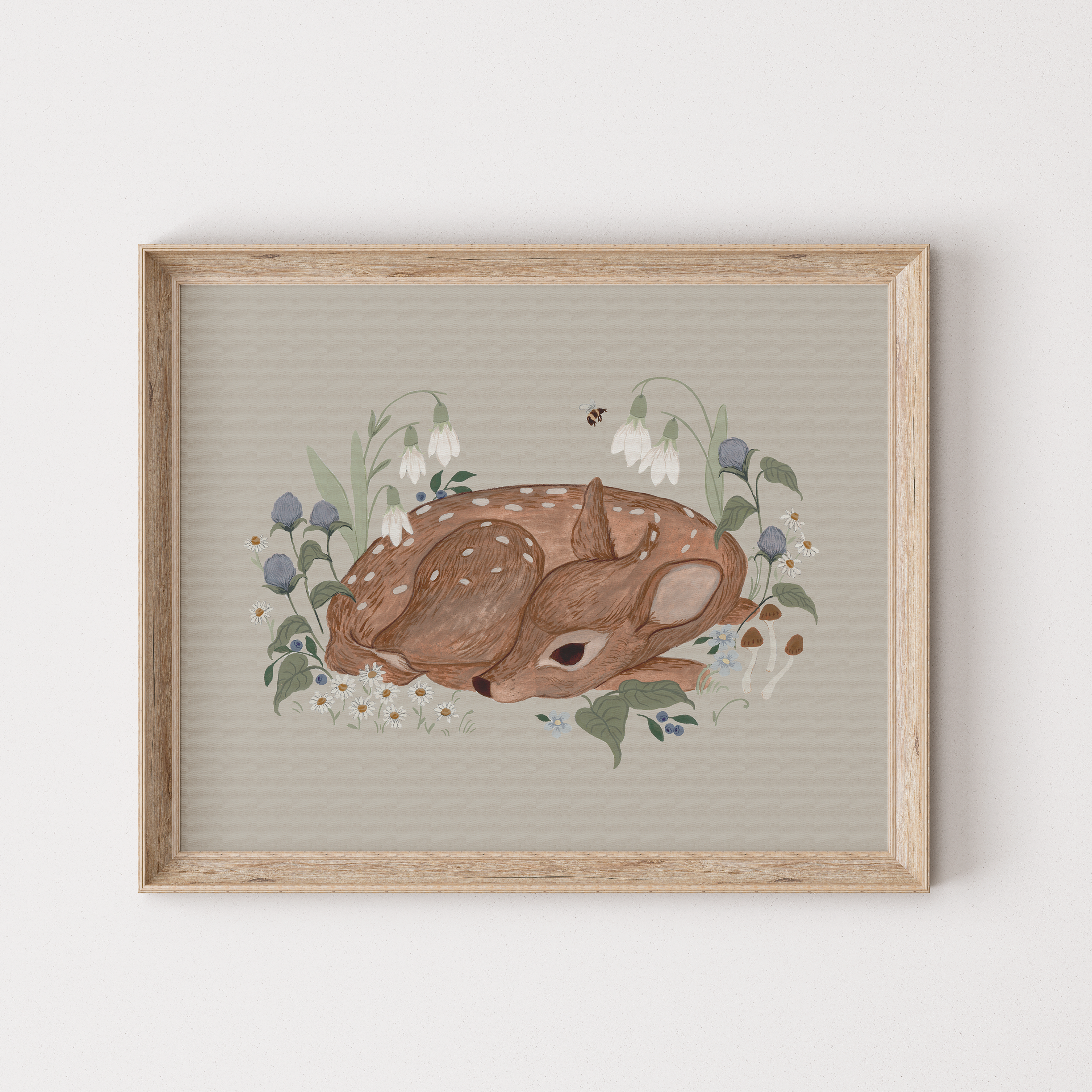 Little Fawn