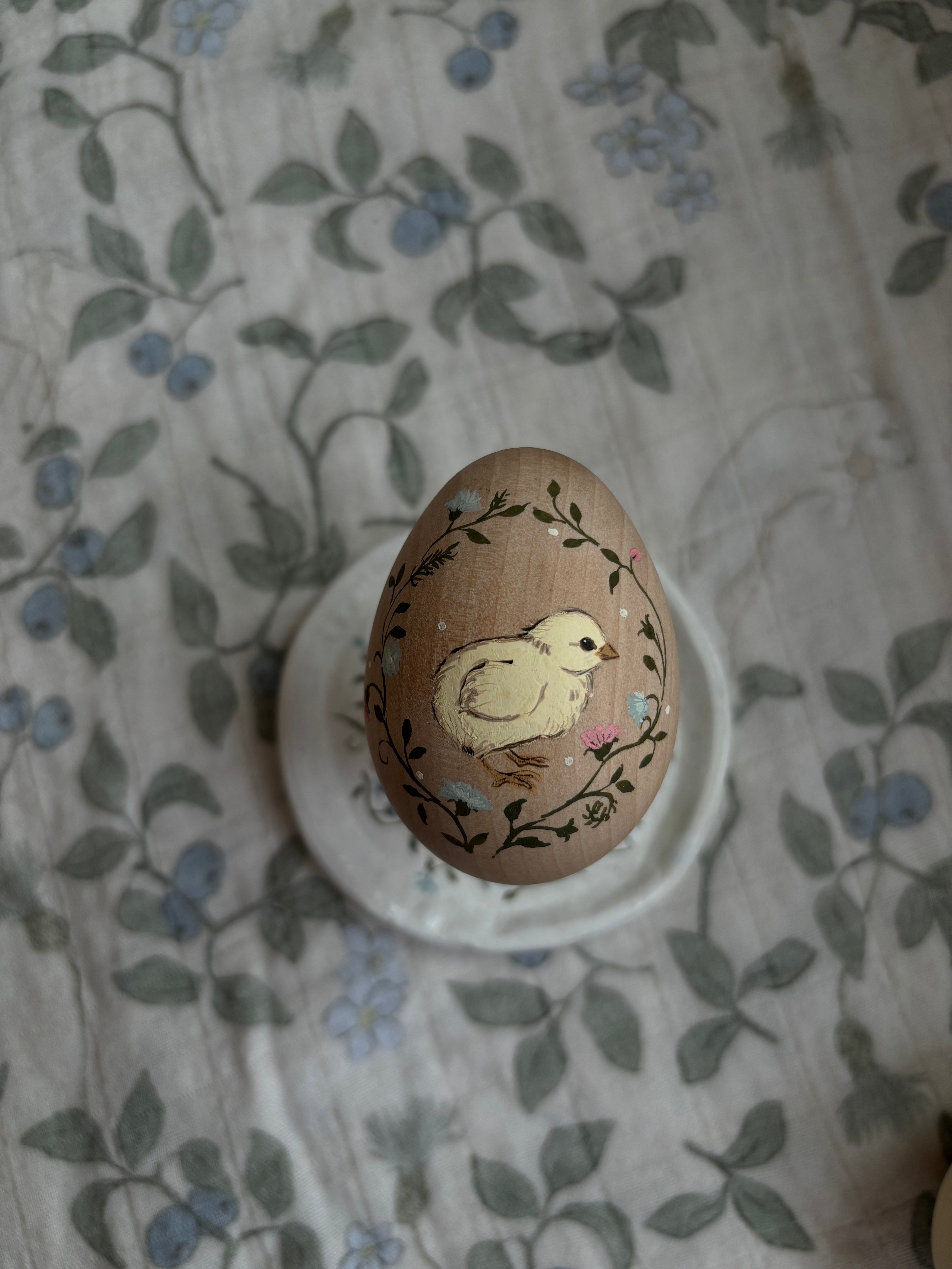 Egg - chick