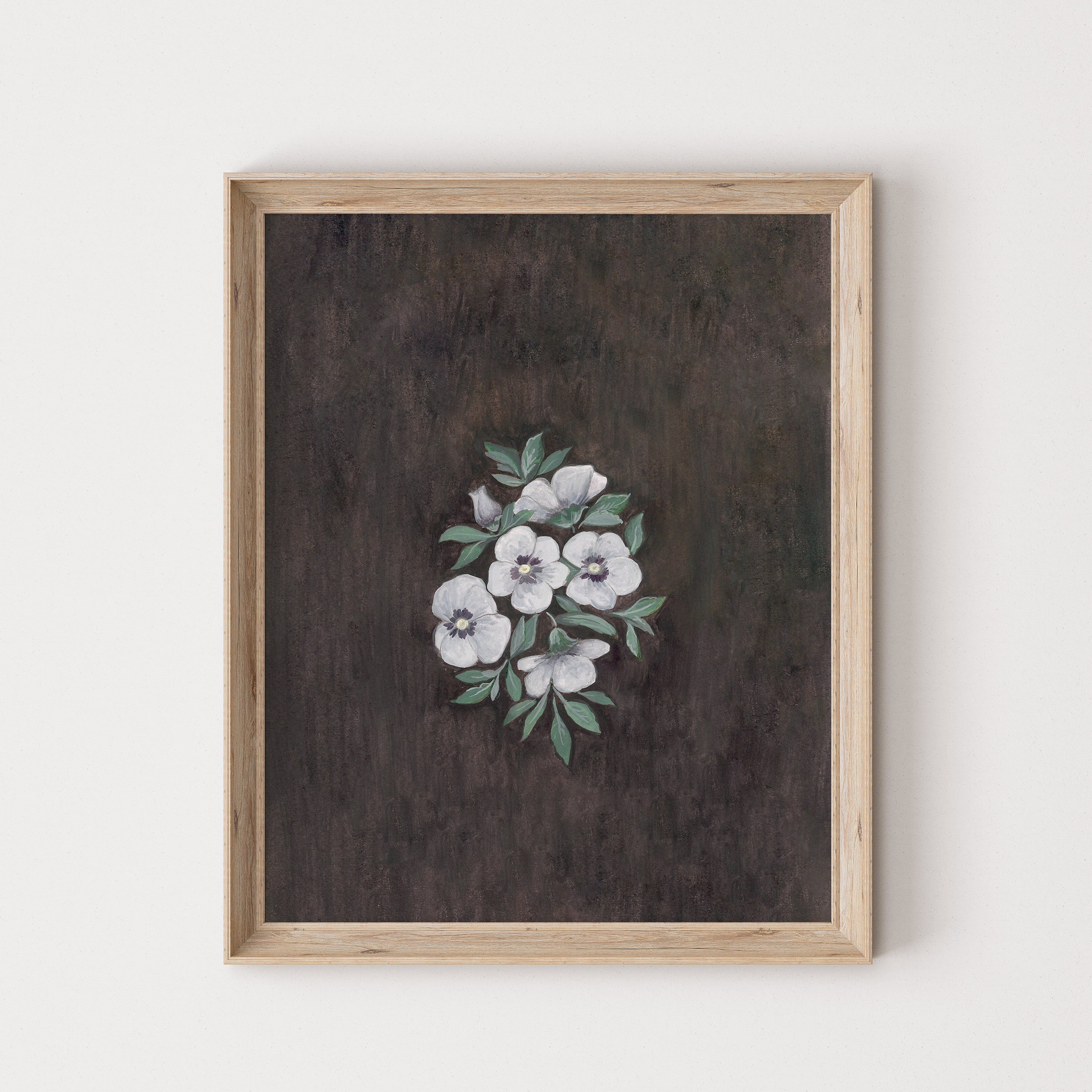 Hydrangea lamb