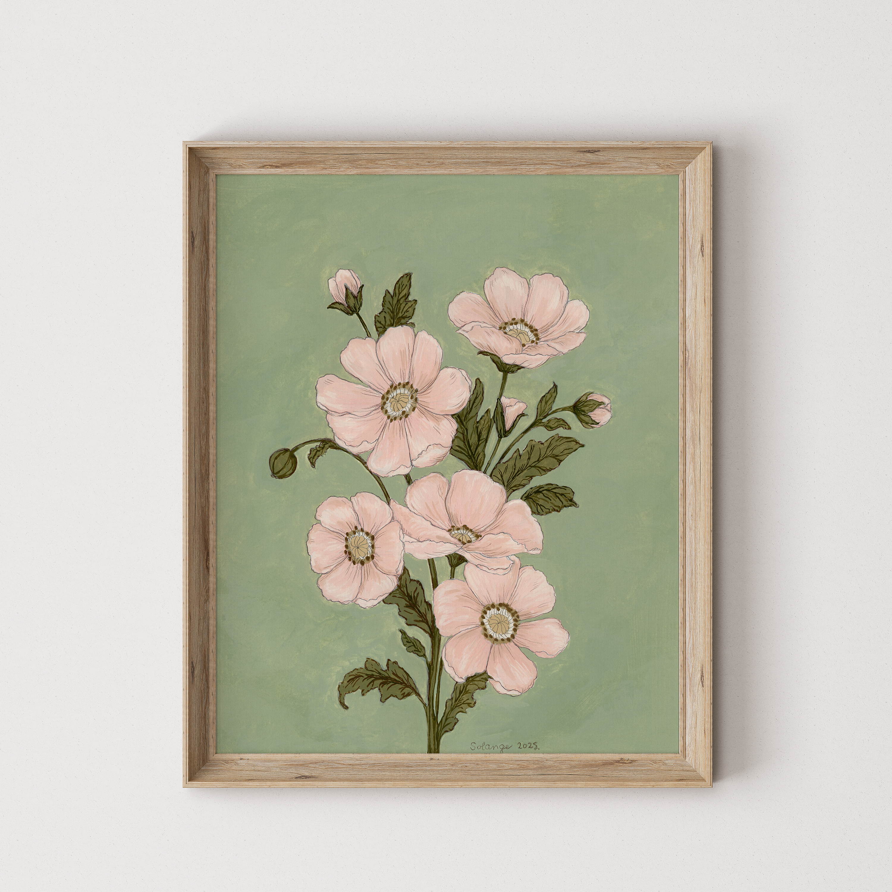 Hydrangea lamb
