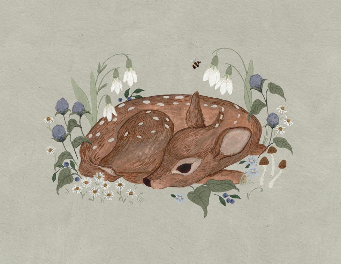 Little Fawn