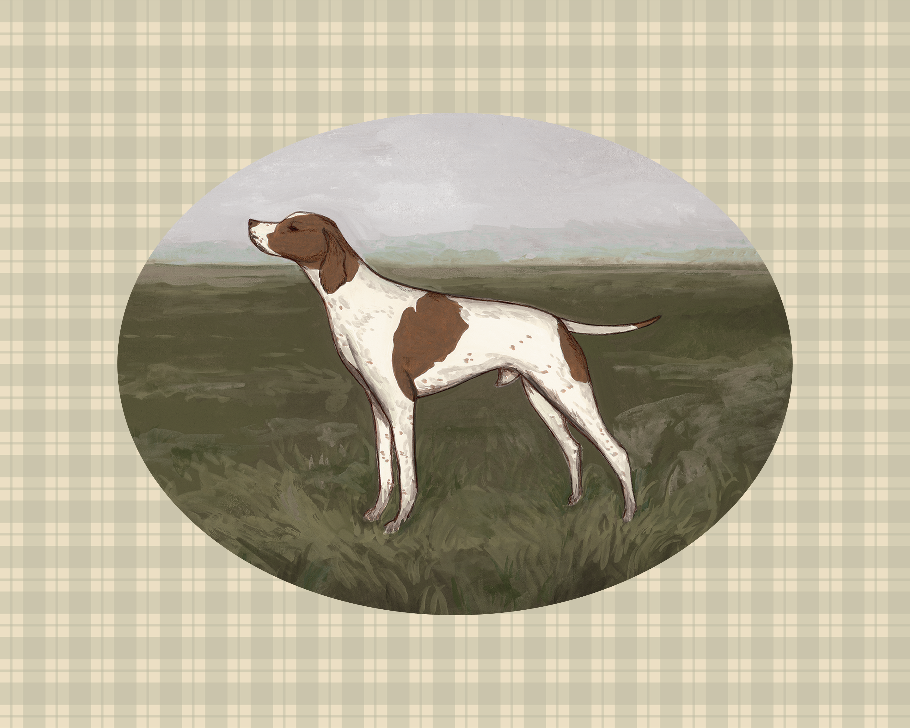 Pointer dog