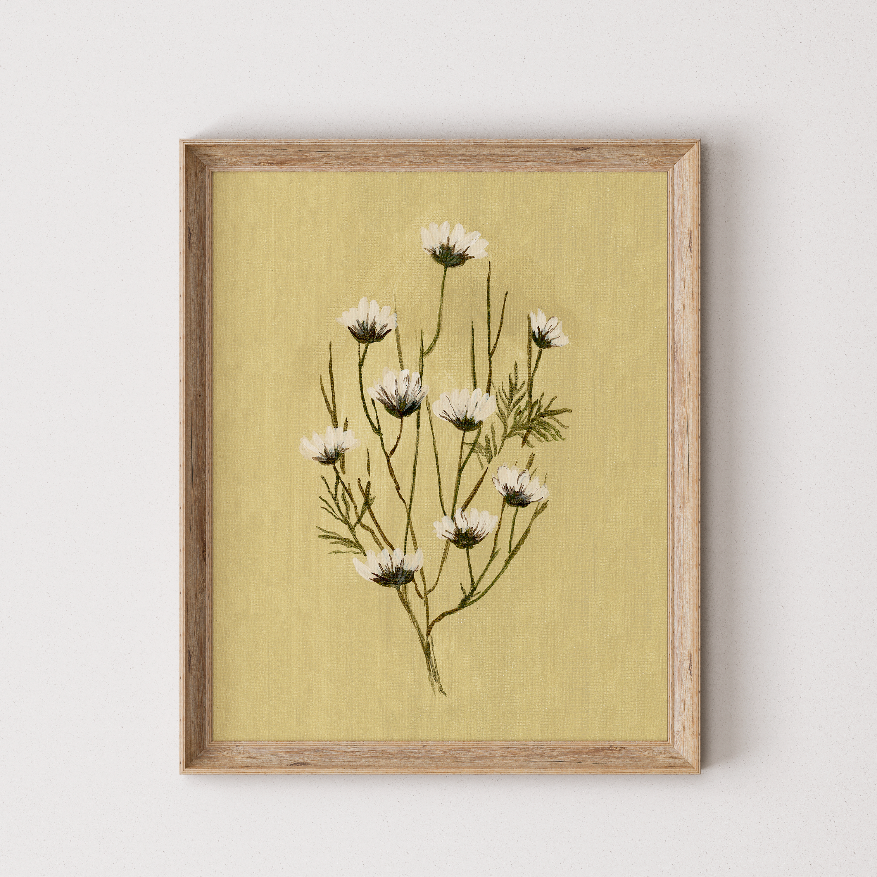 Marguerites - reproduction